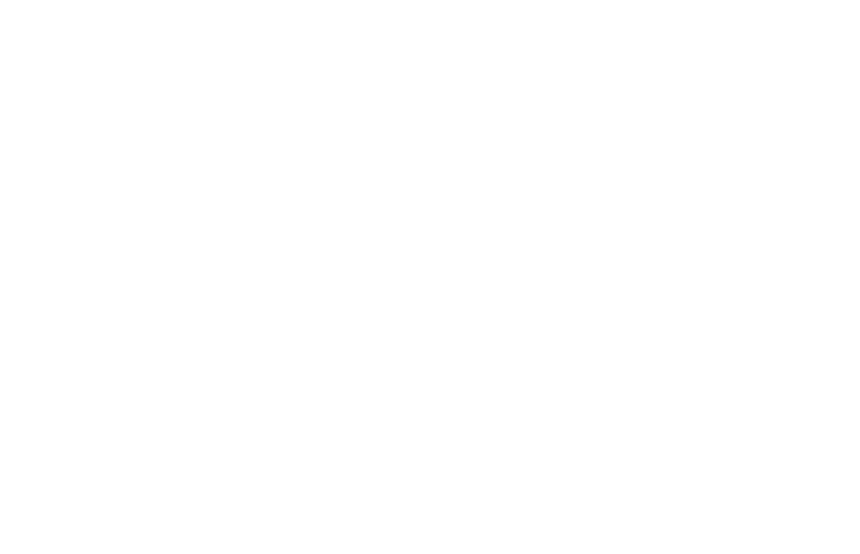 100% Vegan